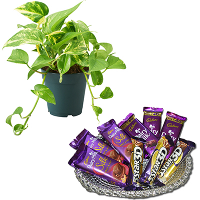"Basket hamper - code BH03 - Click here to View more details about this Product